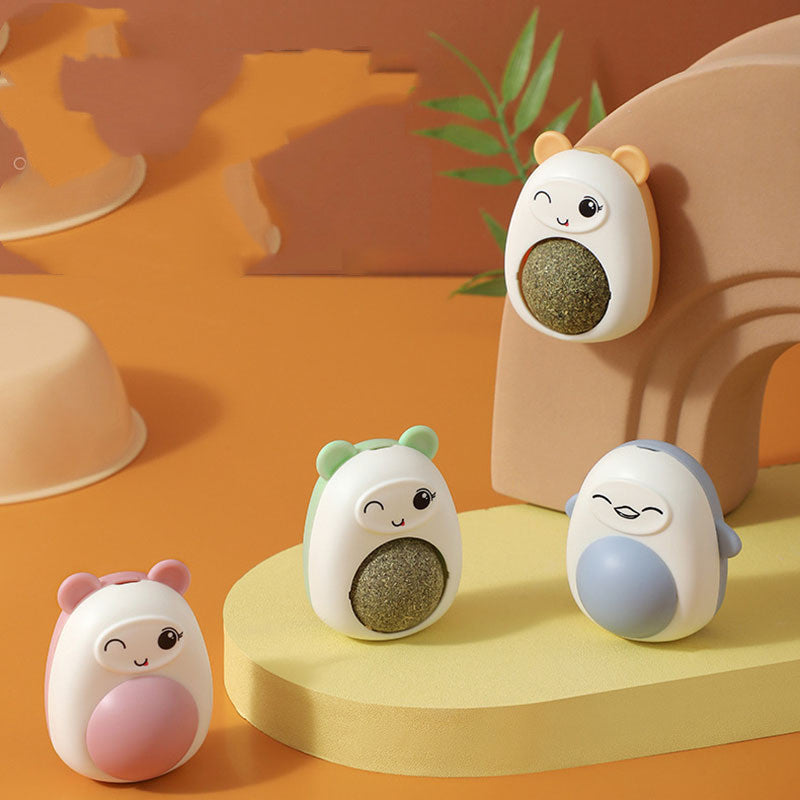 Ayıcıklı Kedi Otu